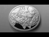 1 oz PROOF - Two Wolves *Eternal Wisdom*